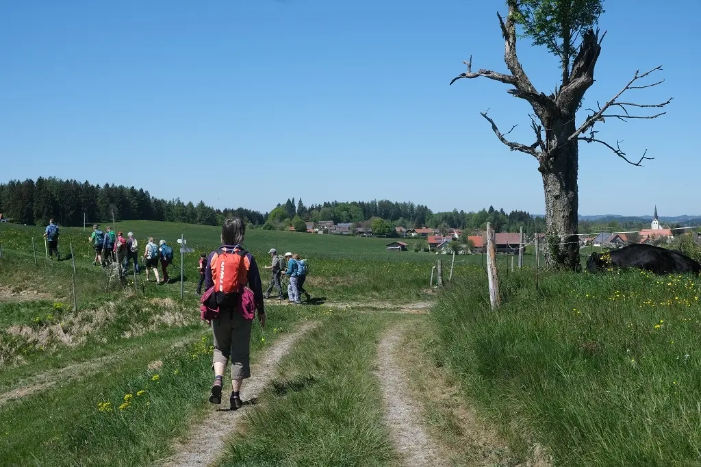 1. Mai Wanderung aufs Kögelegg | © DAV Wangen