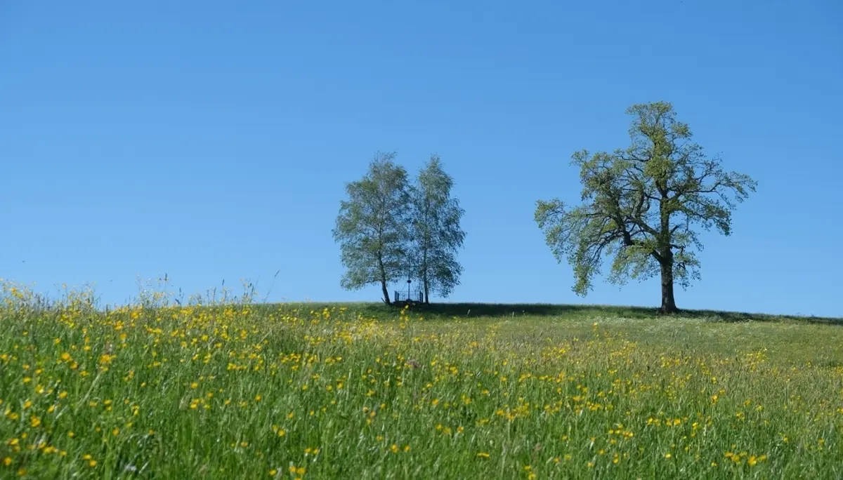 1. Mai Wanderung aufs Kögelegg | © DAV Wangen