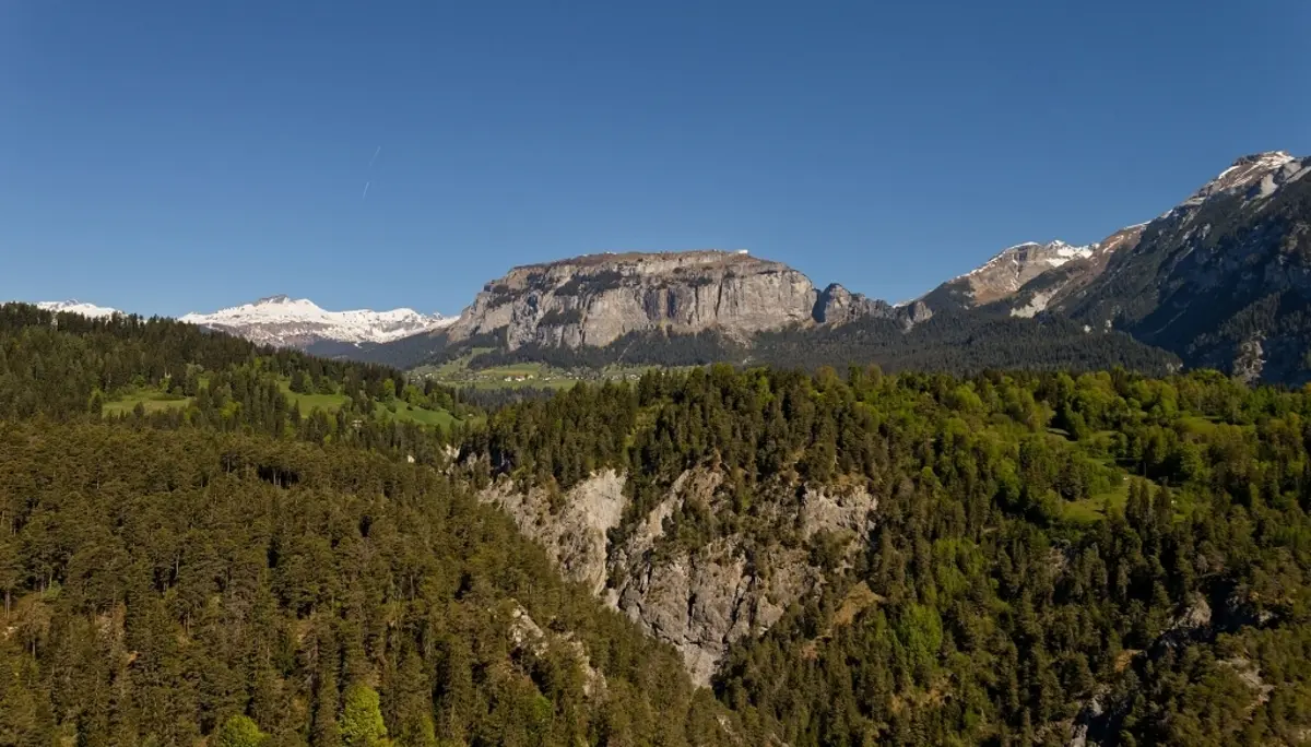 Durch die Rheinschlucht | © Christoph Morlok