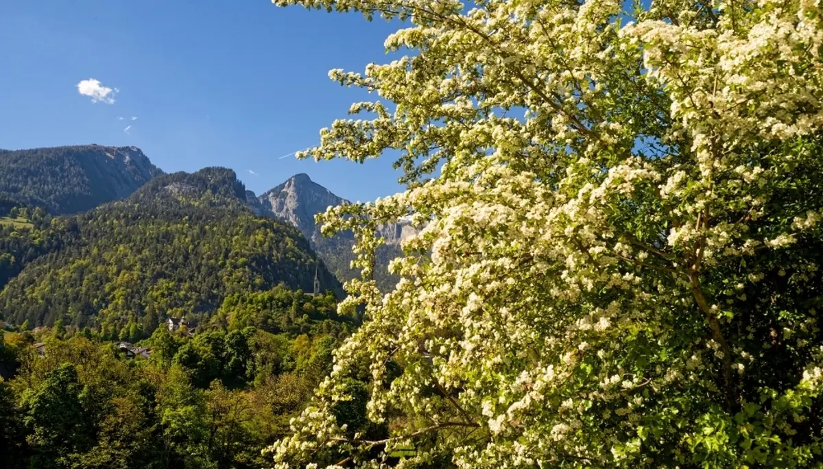 Durch die Rheinschlucht | © Christoph Morlok