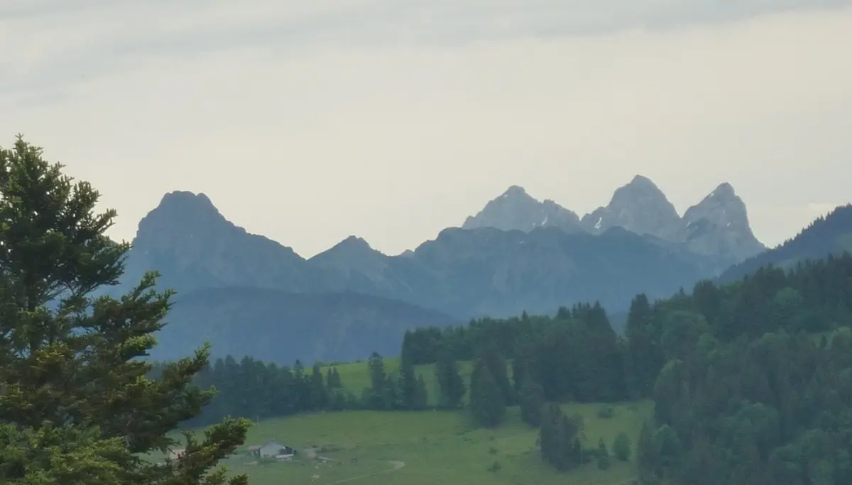 Die DAV-Senioren sind unterwegs im Grüntengebiet | © Max Bischofberger