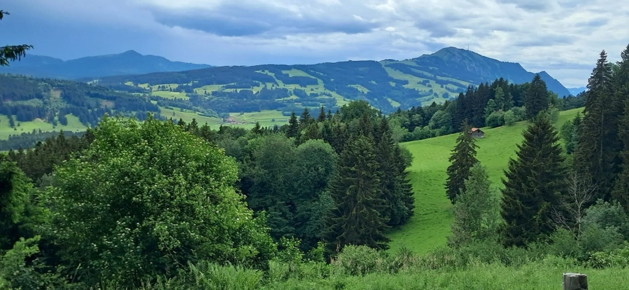 Die DAV-Senioren sind unterwegs im Grüntengebiet | © Max Bischofberger