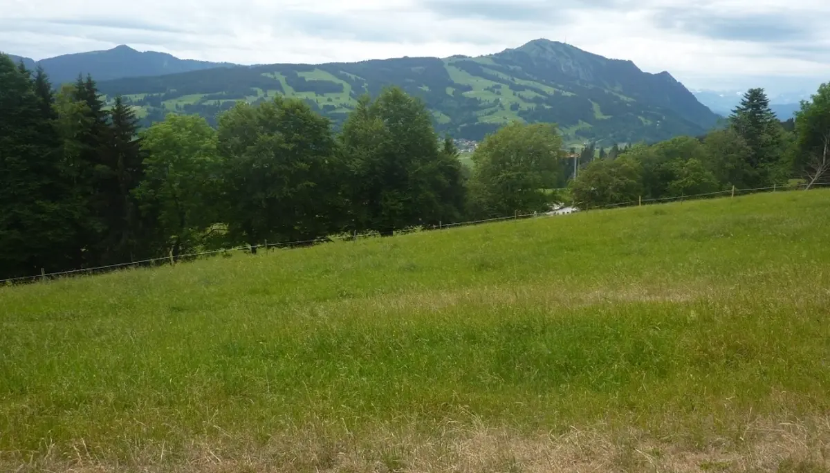 Die DAV-Senioren sind unterwegs im Grüntengebiet | © Max Bischofberger