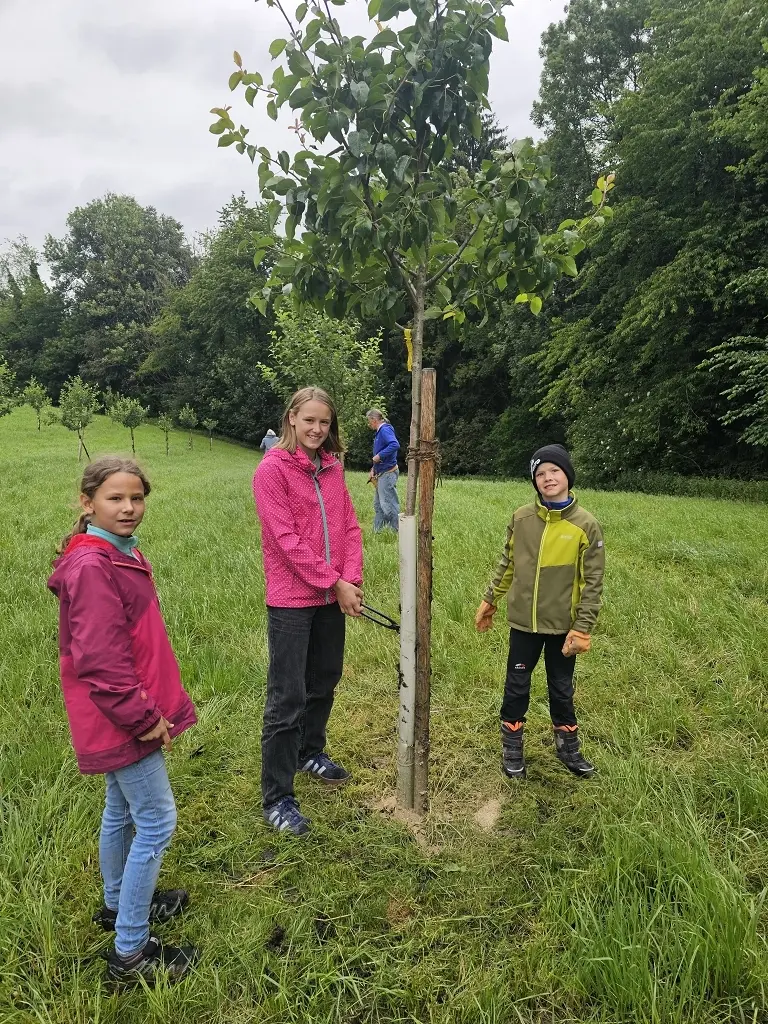Naturschutzaktion der Familiengruppe | © DAV Wangen