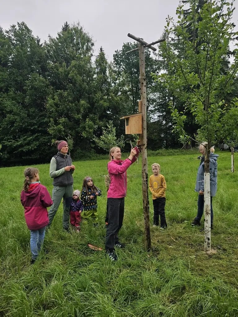 Naturschutzaktion der Familiengruppe | © DAV Wangen