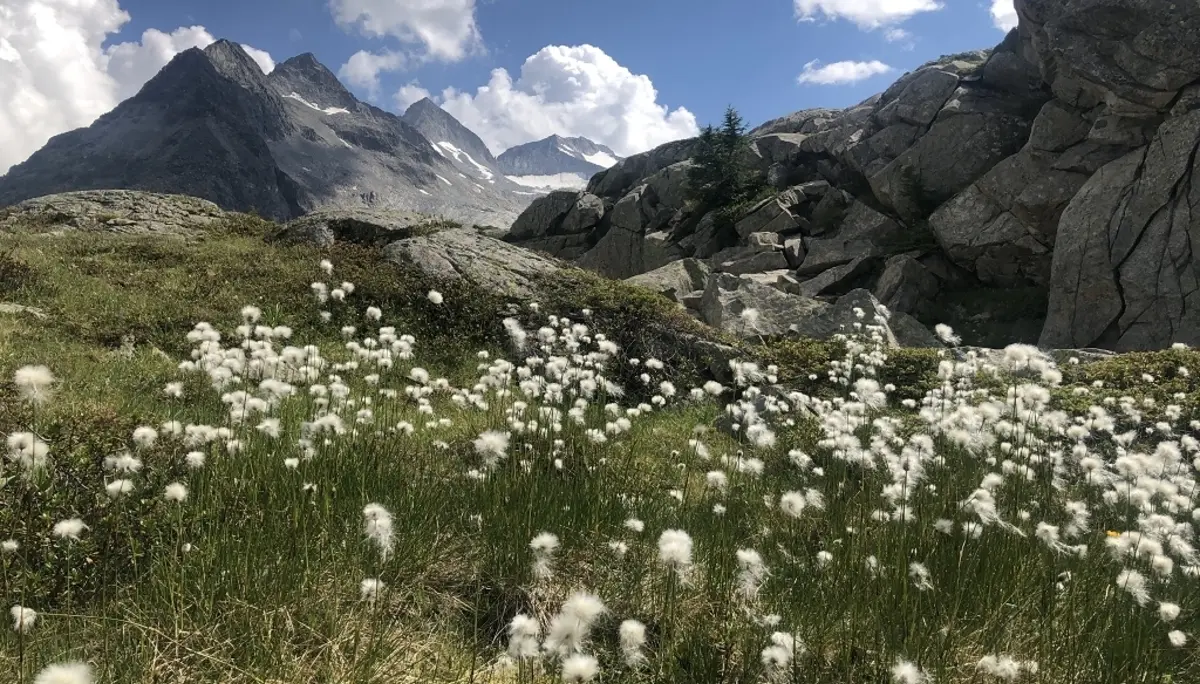 Alta via dell Adamello | © Hubert Weber