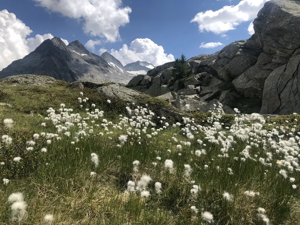Alta via dell Adamello | © Hubert Weber