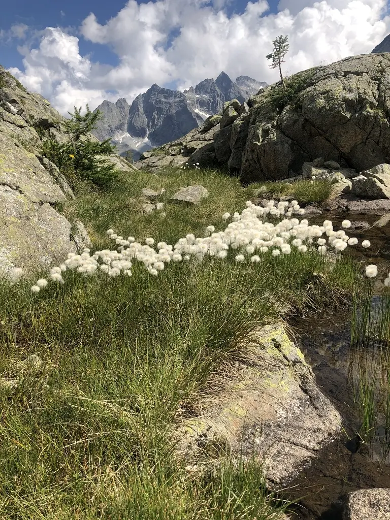 Alta via dell Adamello | © Hubert Weber