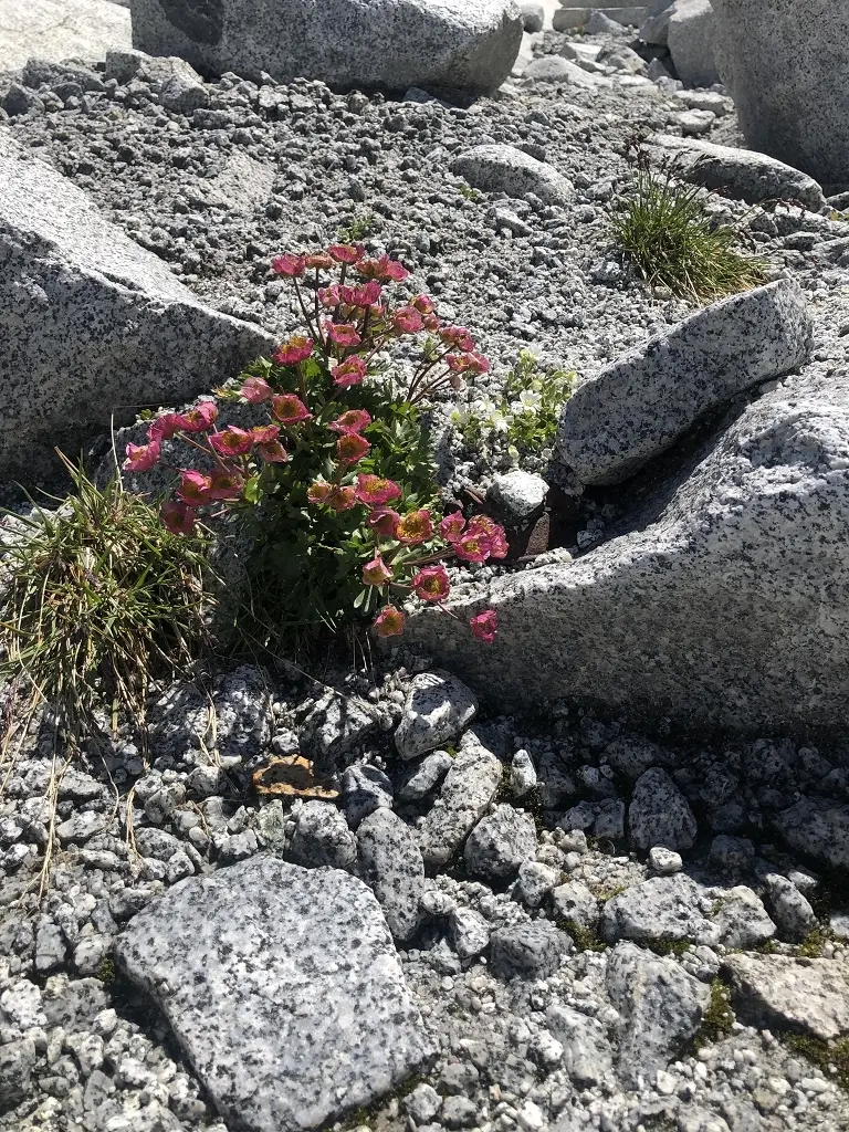 Alta via dell Adamello | © Hubert Weber