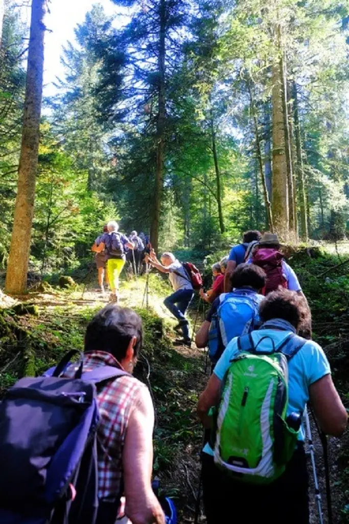 Abschiedstour mit Max | © DAV Wangen/Teilnehmer