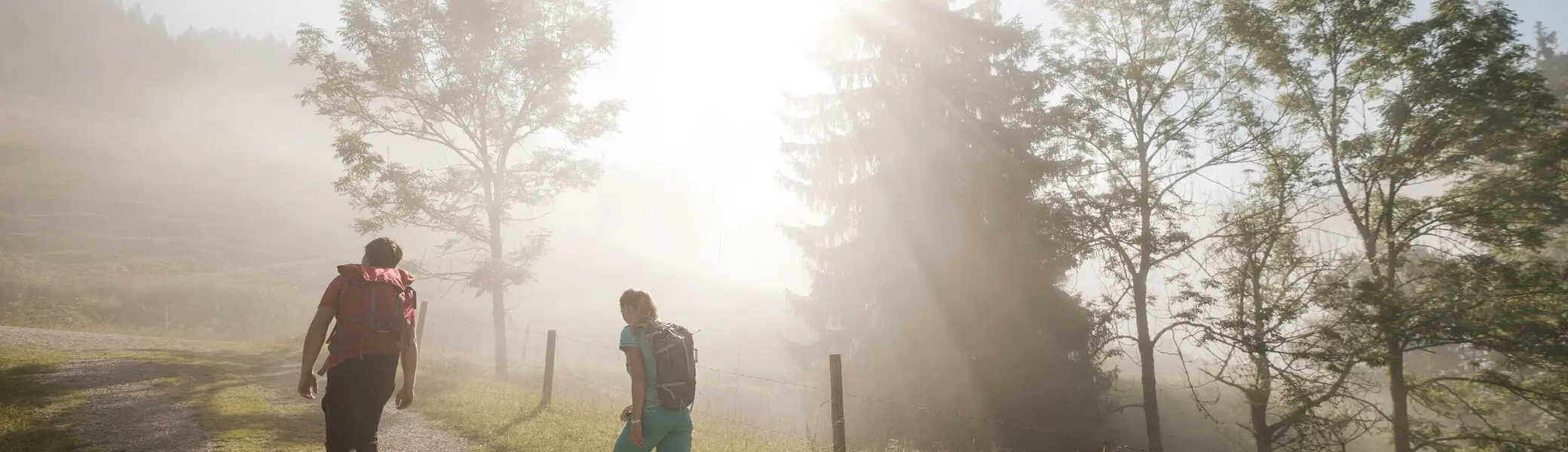 Gemeinsamer Aufstieg bei Sonnenaufgang - die Sonne scheint durch den Nebel | © DAV/Hans Herbig